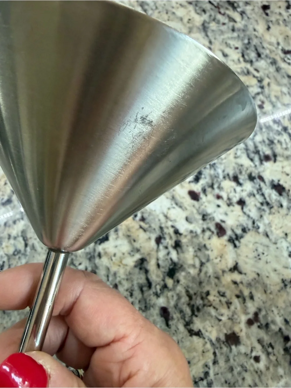 Stainless Steel Cocktail Shaker and Martini Glass Set - Silver